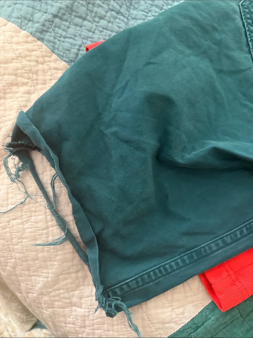 Levi's Teal Distressed Flat Front Men's Shorts and Nike SB Sport Shorts
